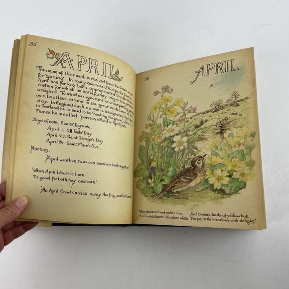 The Country Diary of an Edwardian Lady by Holden Edith Hardcover 1977 DJ 1st Ed - Picture 14 of 16